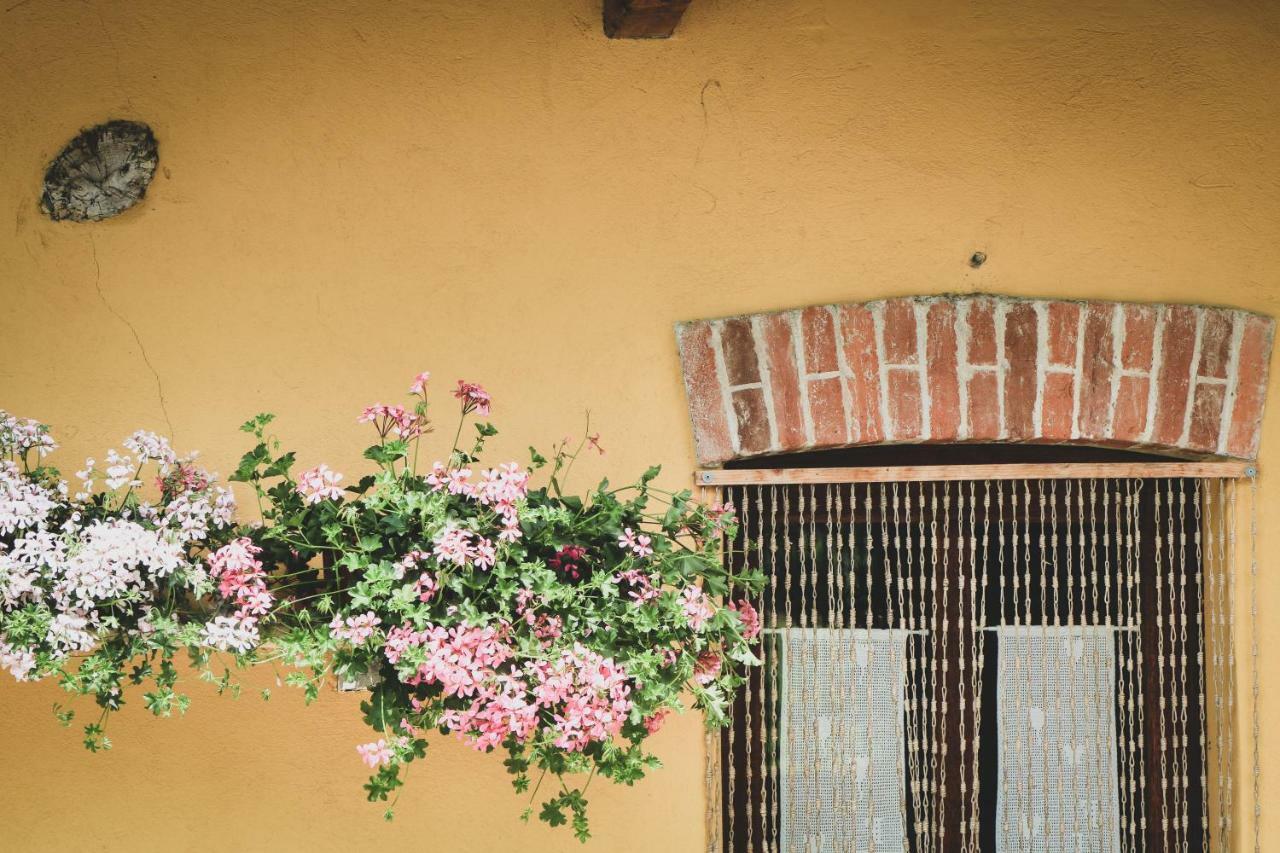 Agriturismo Fiori Di Zucca Фосано Екстериор снимка
